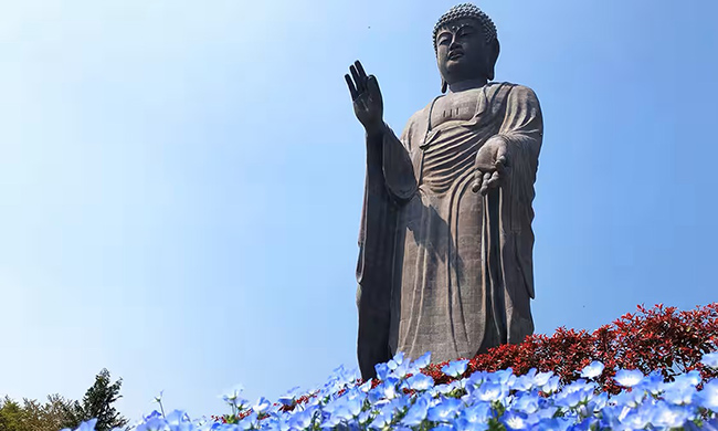 Top 10 Tallest Statues in the World: Giants That Touch the Sky 4 Ushiku Daibutsu