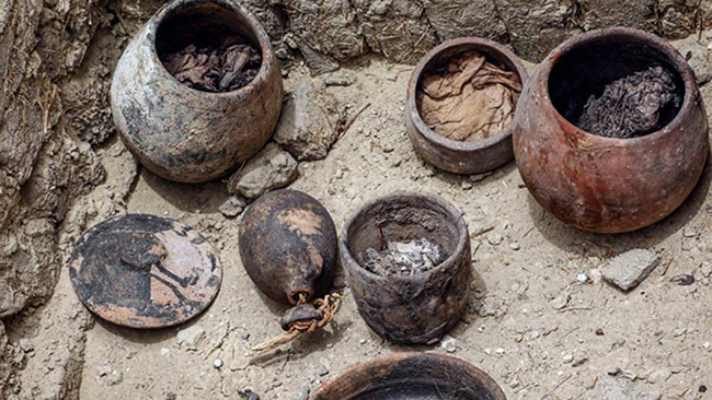 Mummification Workshops 1