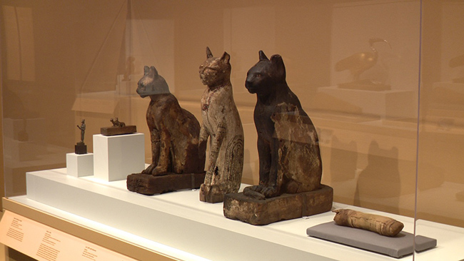 The Bubasteion and the Animal Mummies